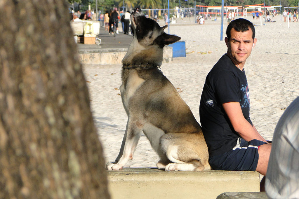 1280px-man_and_dog_-_beach_at_niteroi_-_rio_de_janeiro_-_brazil